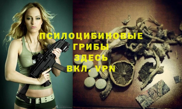 тгк Балахна