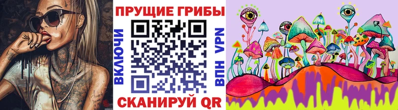 Галлюциногенные грибы Psilocybe  блэк спрут   Богородск 